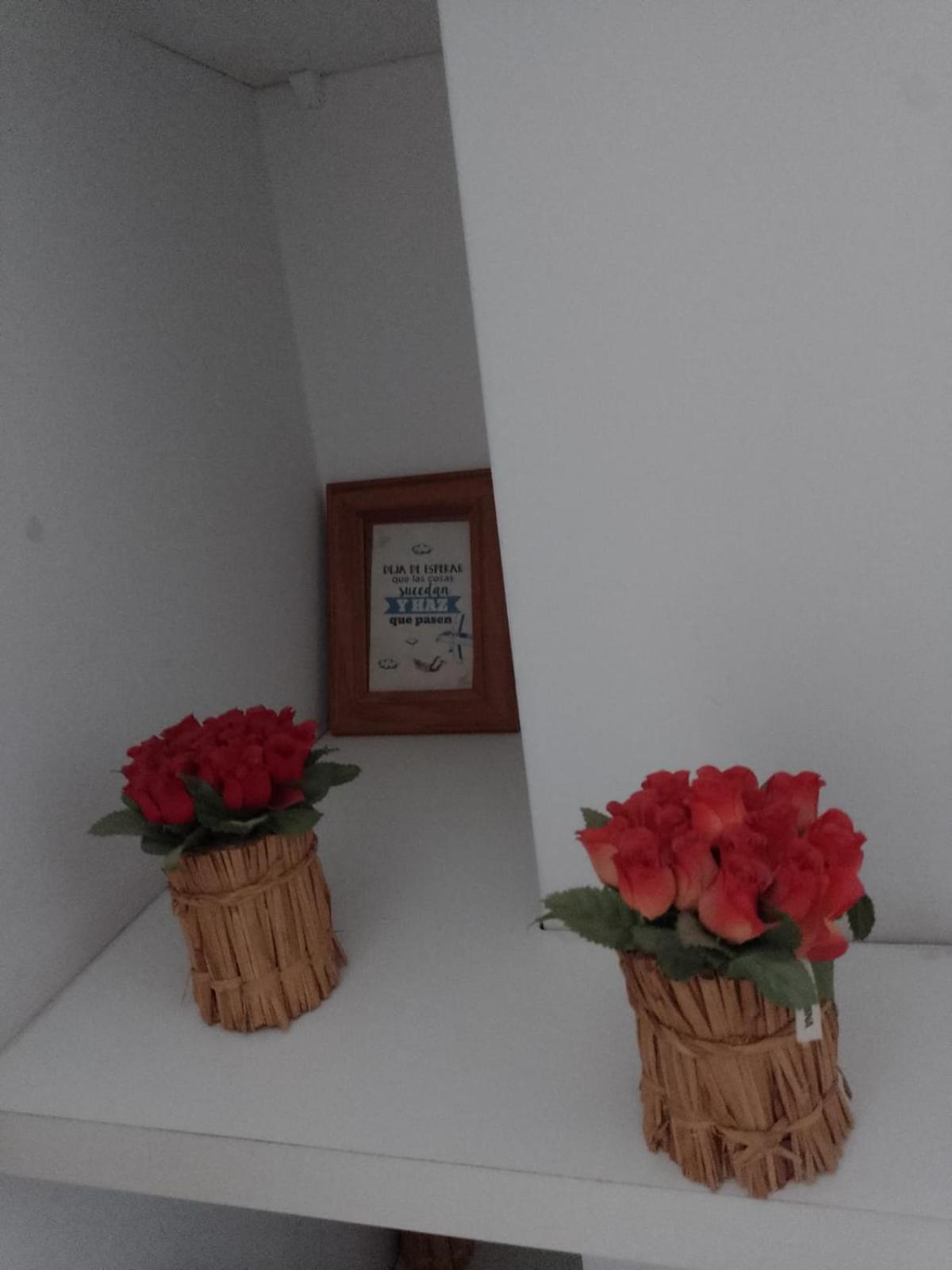 Relax En Palermo Con Gran Balcon Y Wifi 300Mb Apartment Buenos Aires Ngoại thất bức ảnh